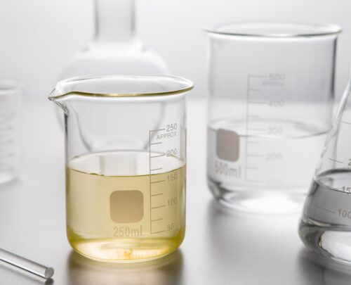 WhatsApp Image 2025-10-01 at 12.48.13 PM