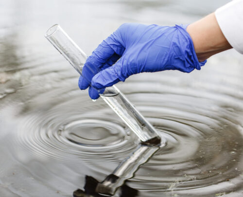 Researcher holds a test tube with water in a hand in blue glove